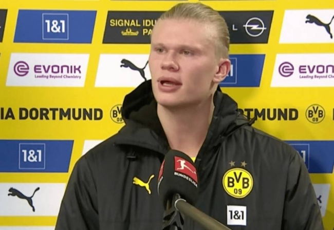 《猫咪斗恶龙3》什么时候发布 官宣发售时间详情