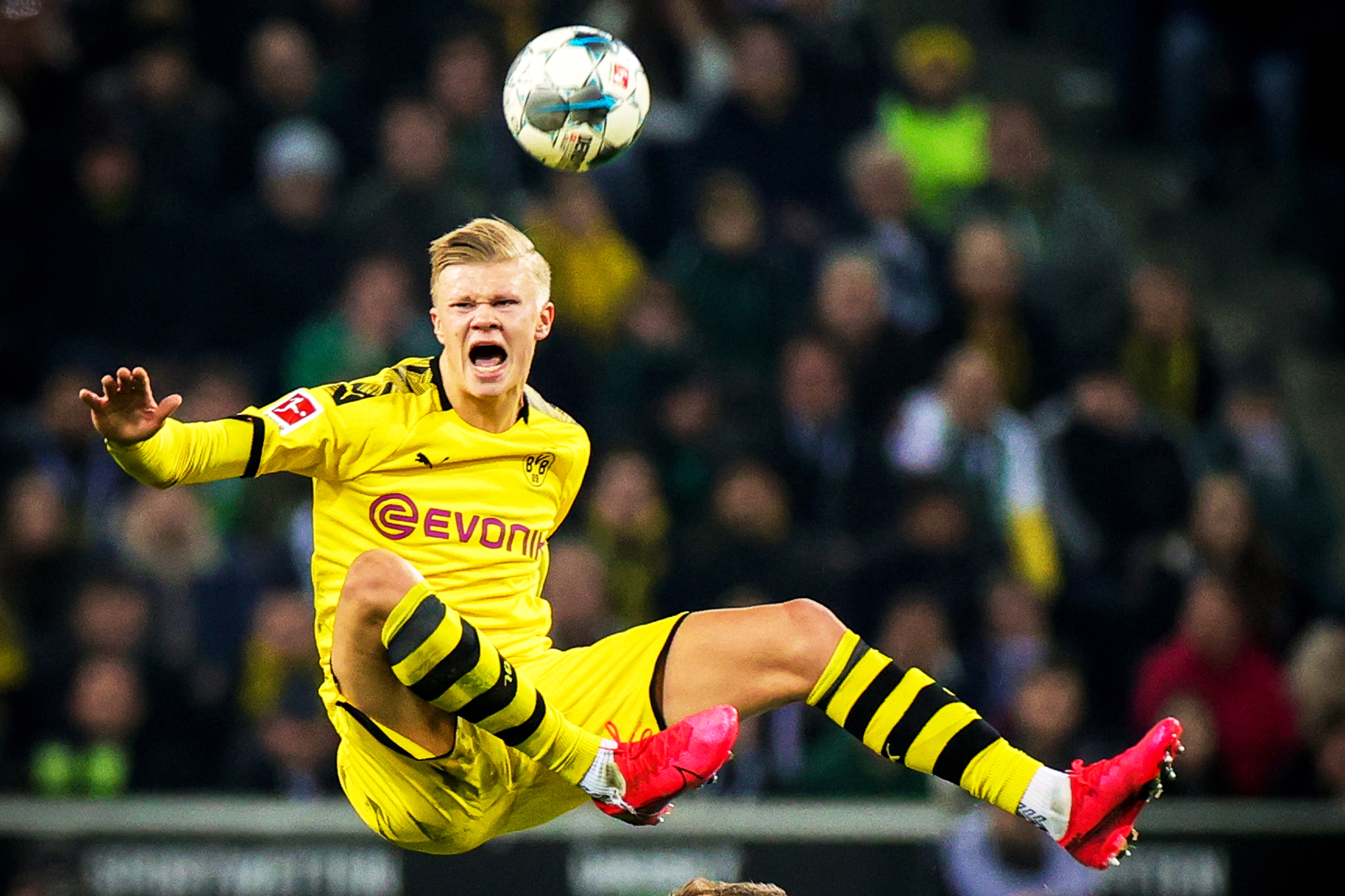 春节档不见新爆款，《蛋仔派对》8天狂赚超3900万元 ｜ 休闲新游周报