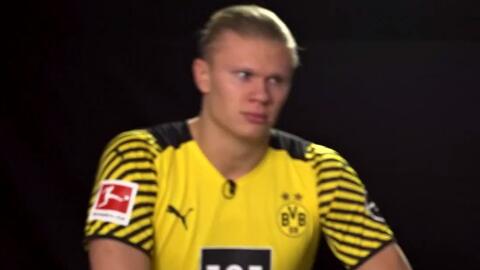 适合新手的休闲对战游戏合集